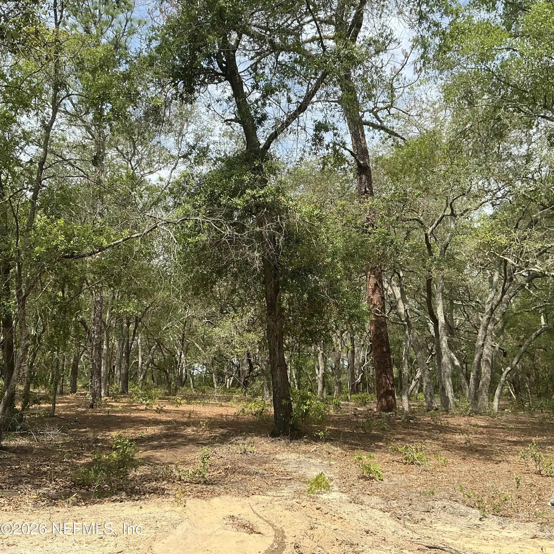 1643 State Road 20 Hawthorne FL 32640