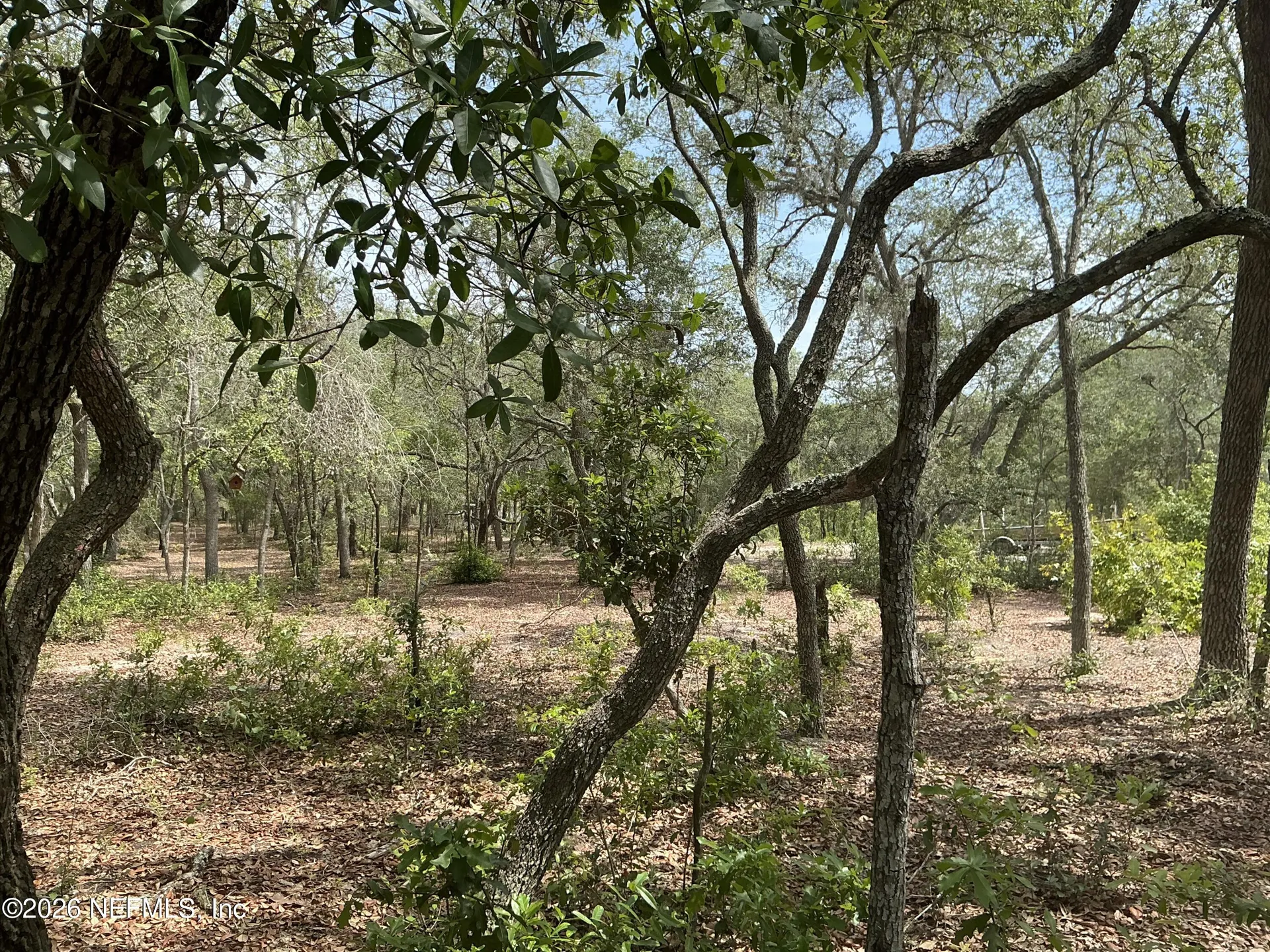 1643 State Road 20 Hawthorne FL 32640
