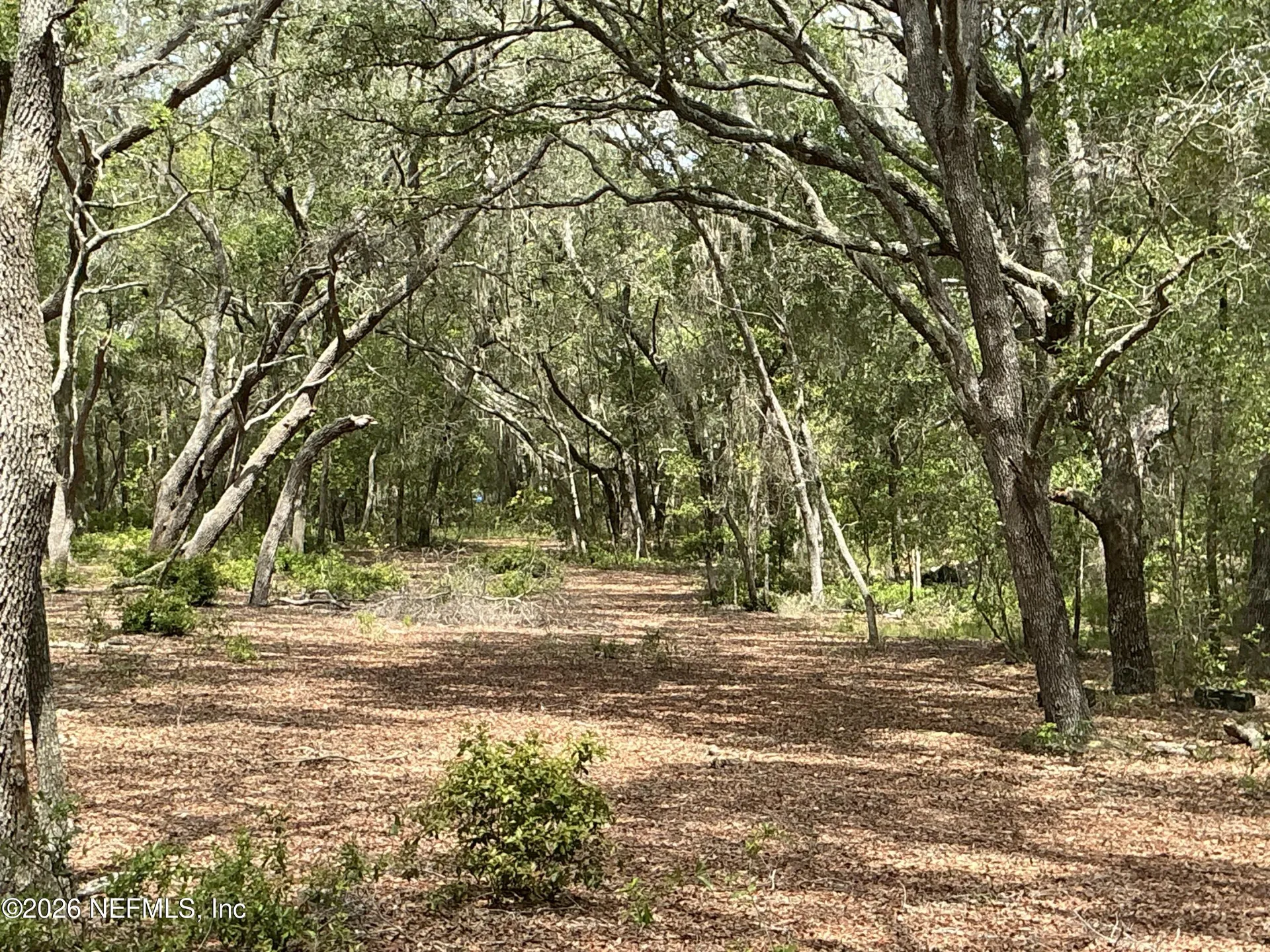 1643 State Road 20 Hawthorne FL 32640