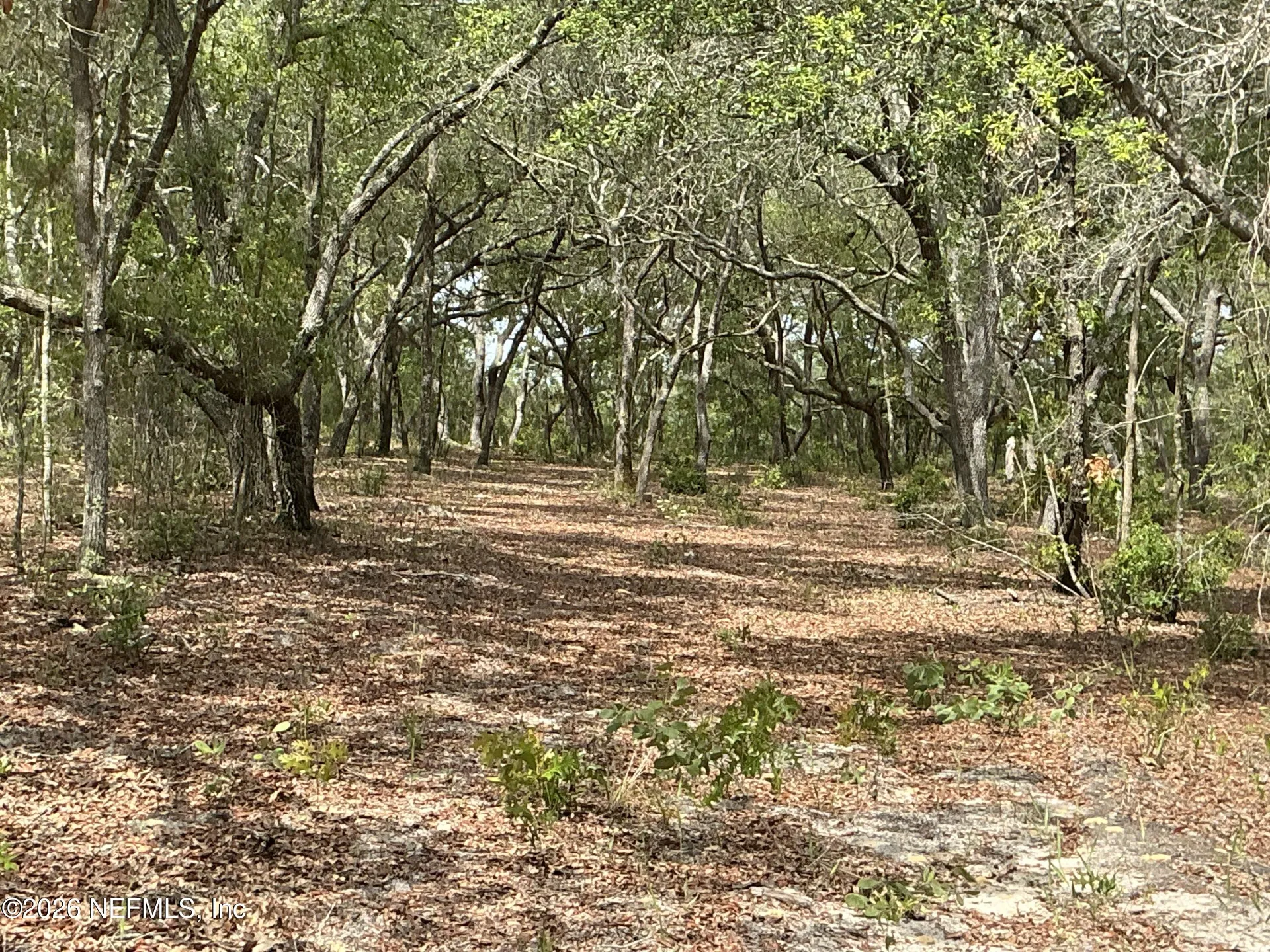 1643 State Road 20 Hawthorne FL 32640