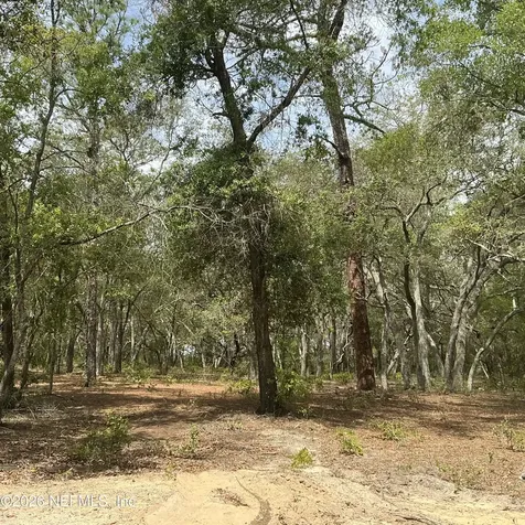 1643 State Road 20 Hawthorne FL 32640