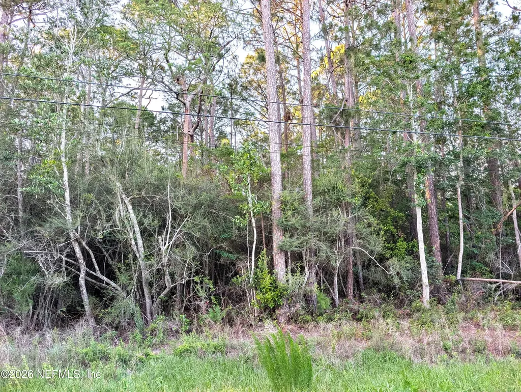 4818 Acacia Street Middleburg FL 32068