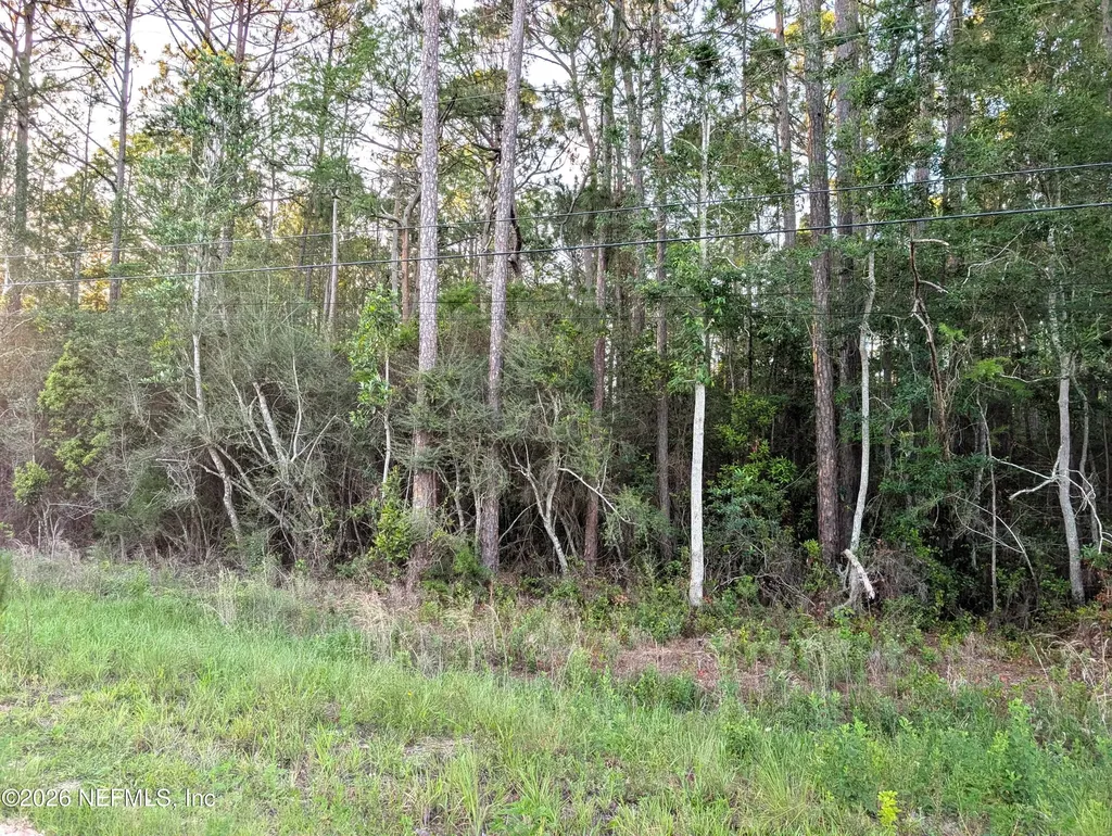 4818 Acacia Street Middleburg FL 32068