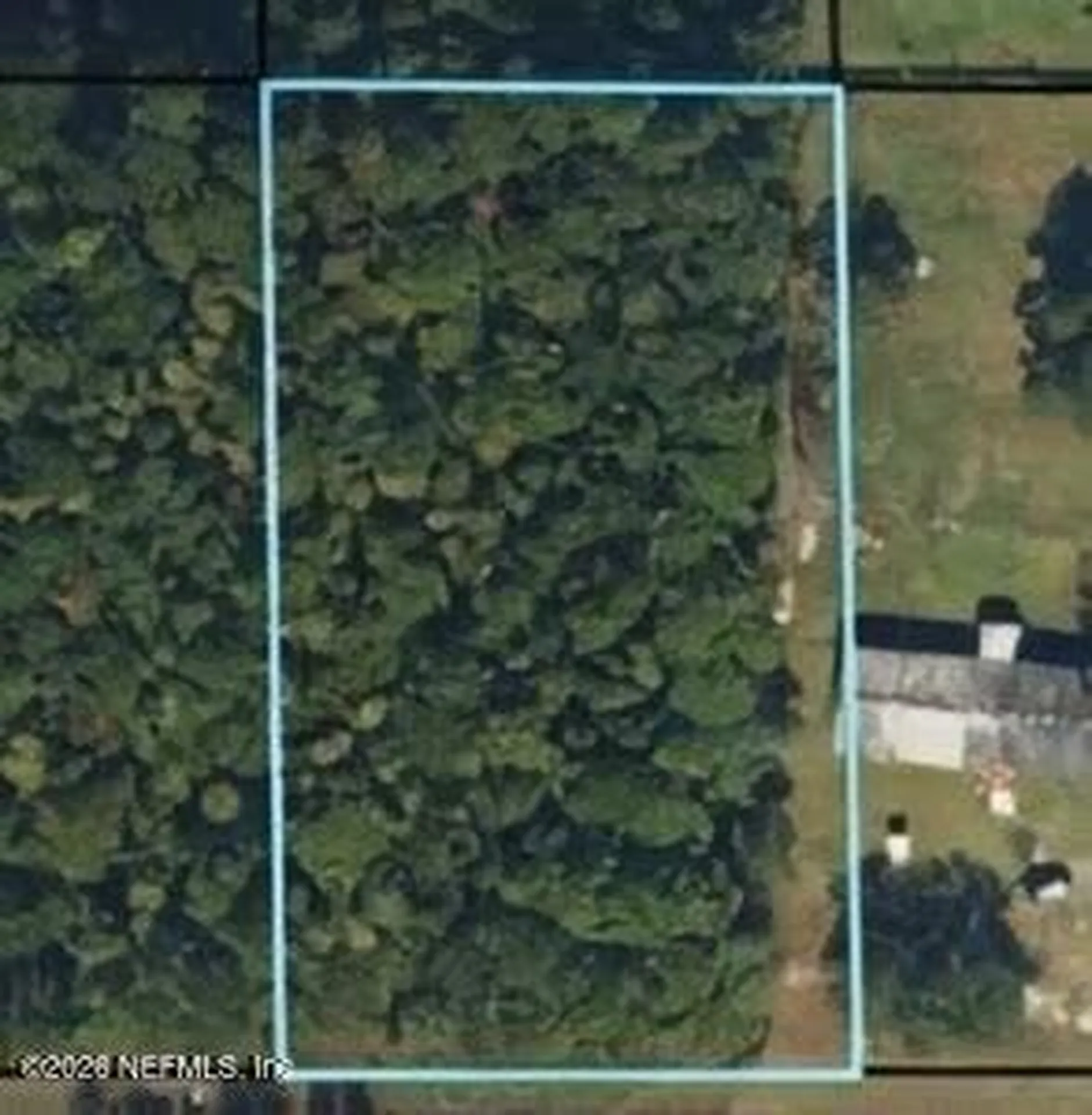 4818 Acacia Street Middleburg FL 32068