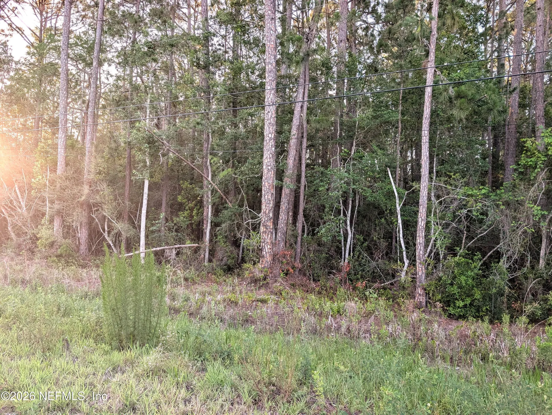 4818 Acacia Street Middleburg FL 32068