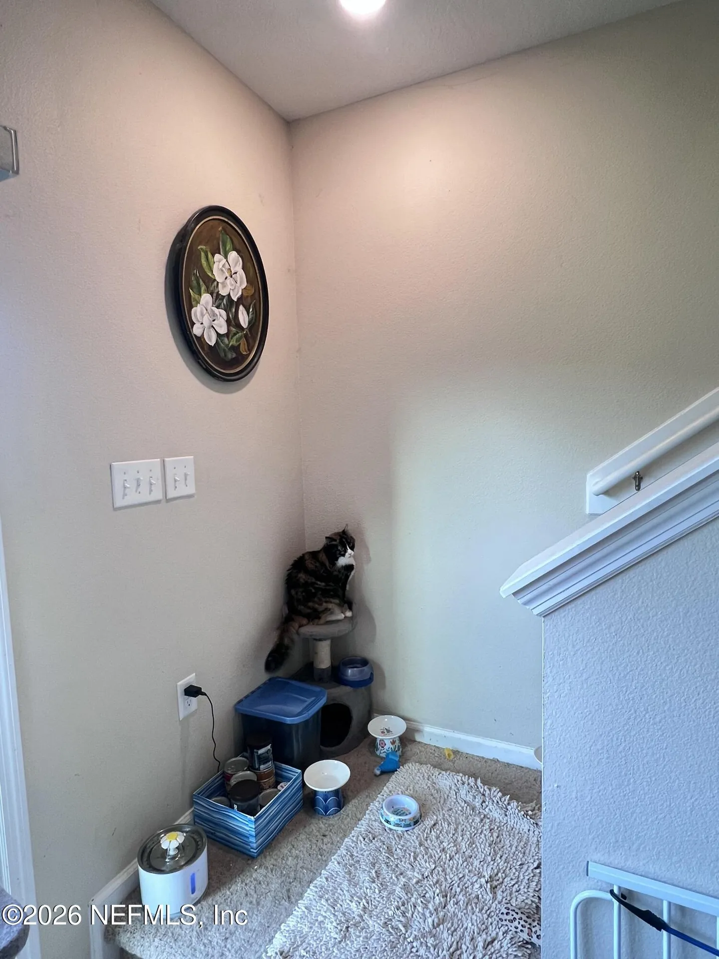 124 Great Star Court St. Augustine FL 32086
