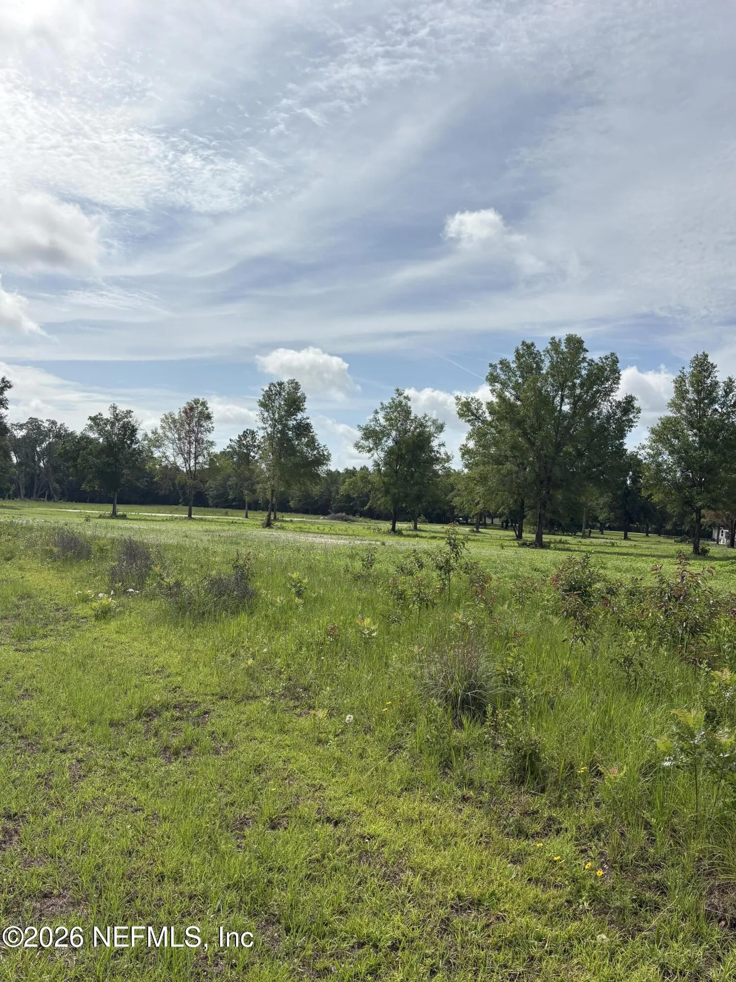 160TH 160th Path Wellborn FL 32094
