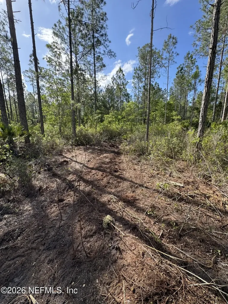 114 Womp Lane Palatka FL 32177