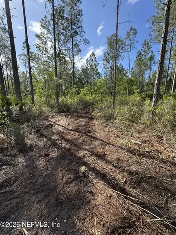 114 Womp Lane Palatka FL 32177