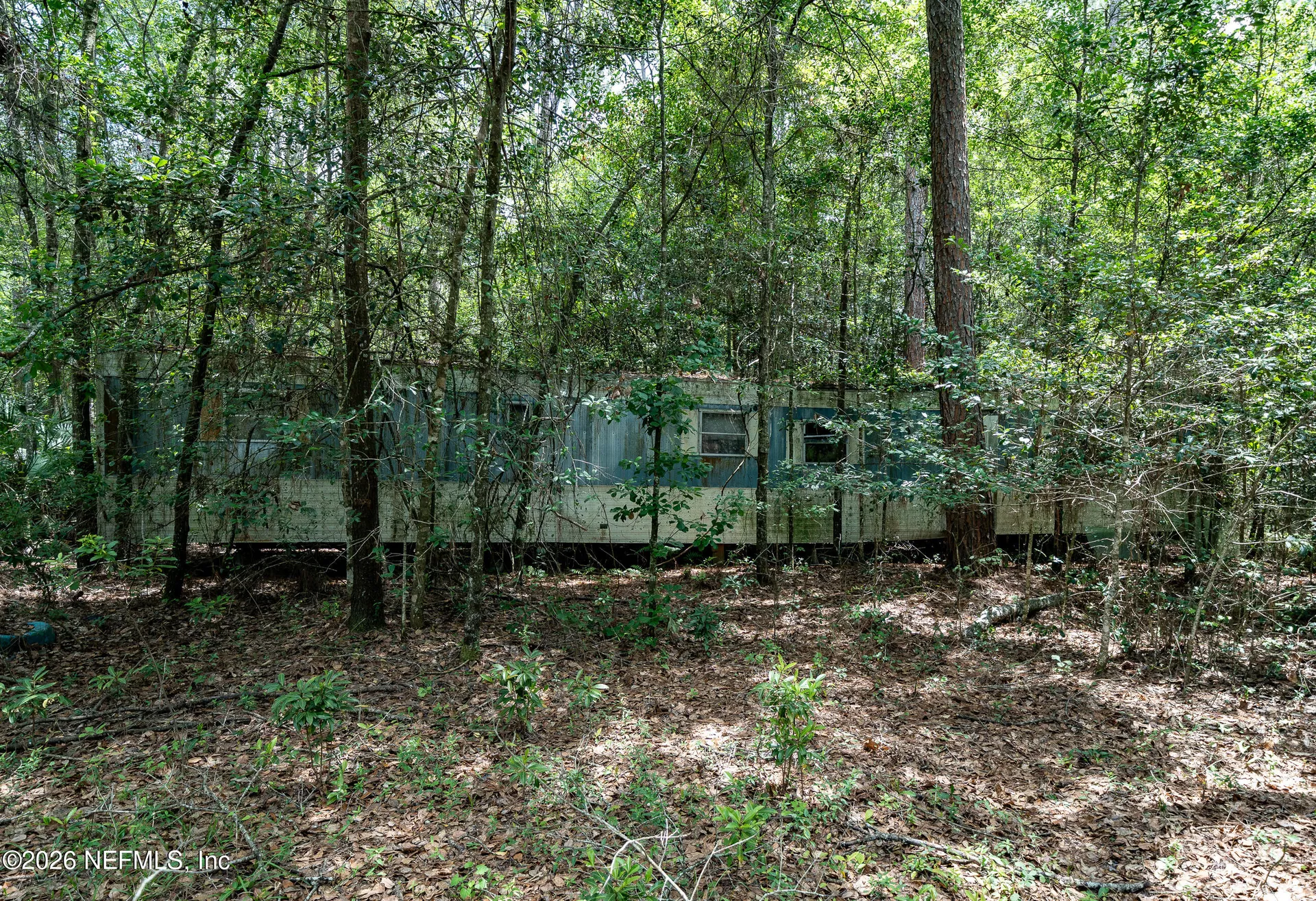 15450 Forest Trail Road Jacksonville FL 32234