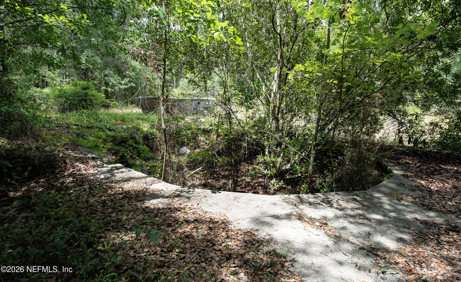 15450 Forest Trail Road Jacksonville FL 32234