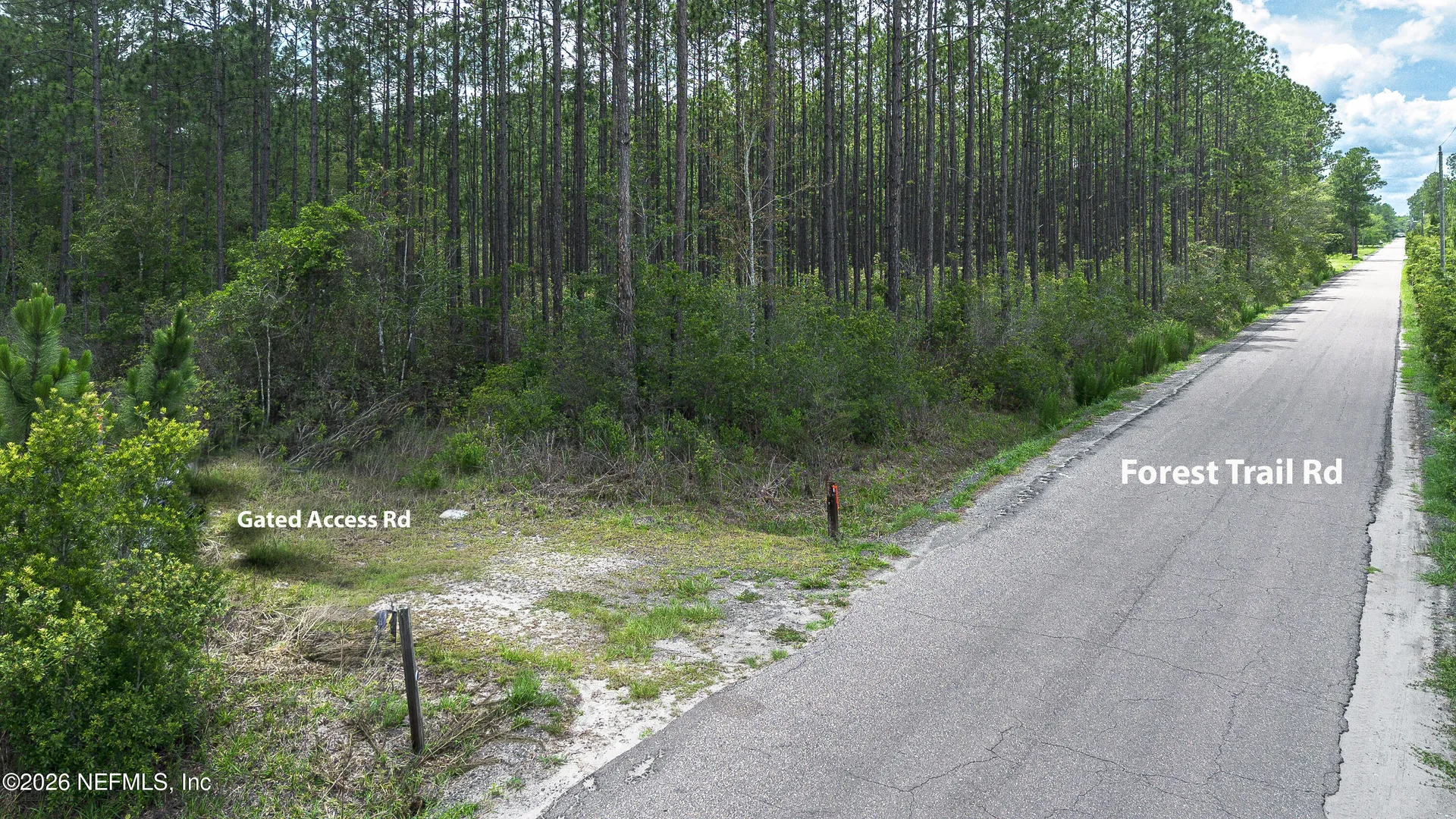15450 Forest Trail Road Jacksonville FL 32234