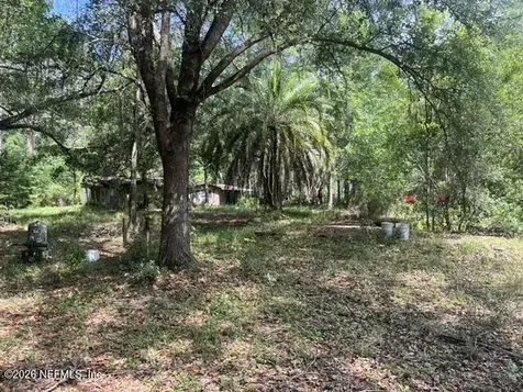 15450 Forest Trail Road Jacksonville FL 32234