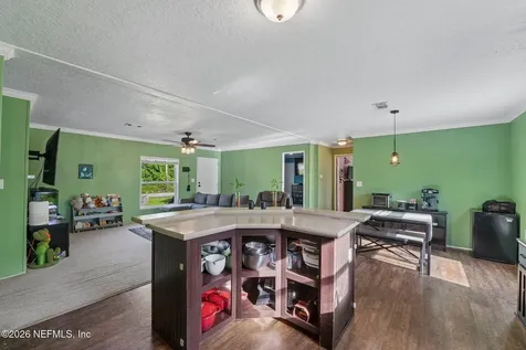 9935 Amos Avenue Hastings FL 32145