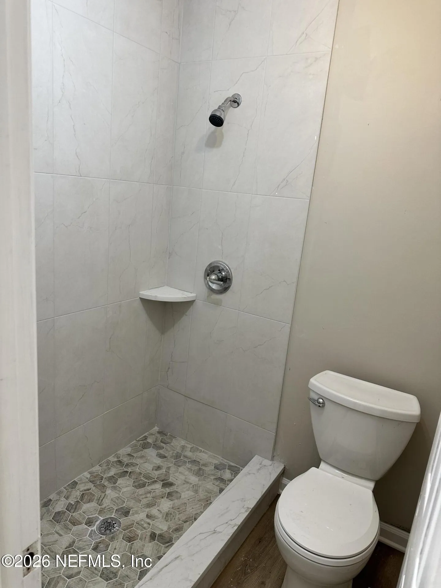 1310 Dolphin Street Orange Park FL 32073
