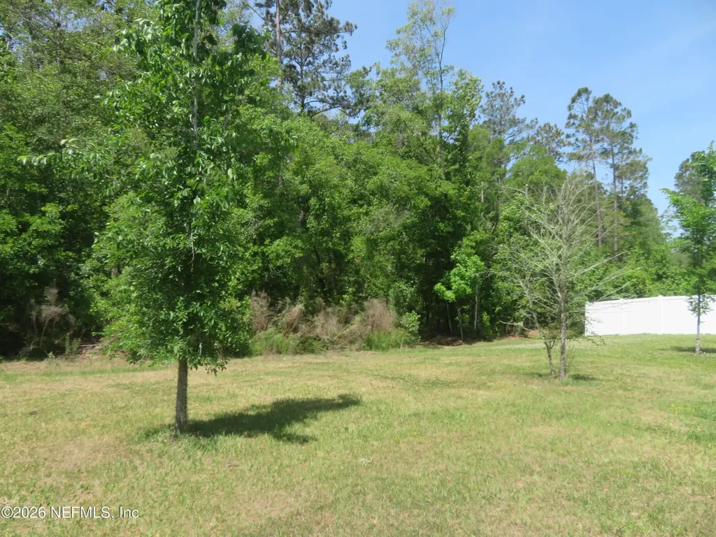 2482 Oak Stream Drive Green Cove Springs FL 32043