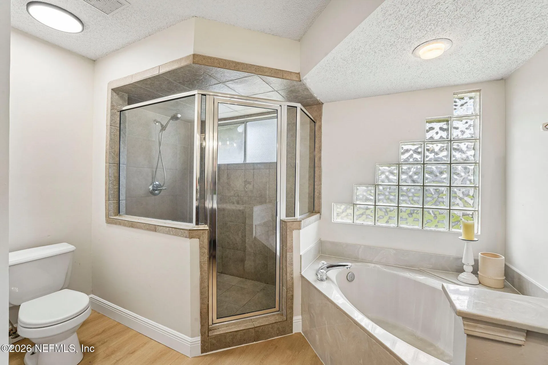 342 Wildberry Court Orange Park FL 32073