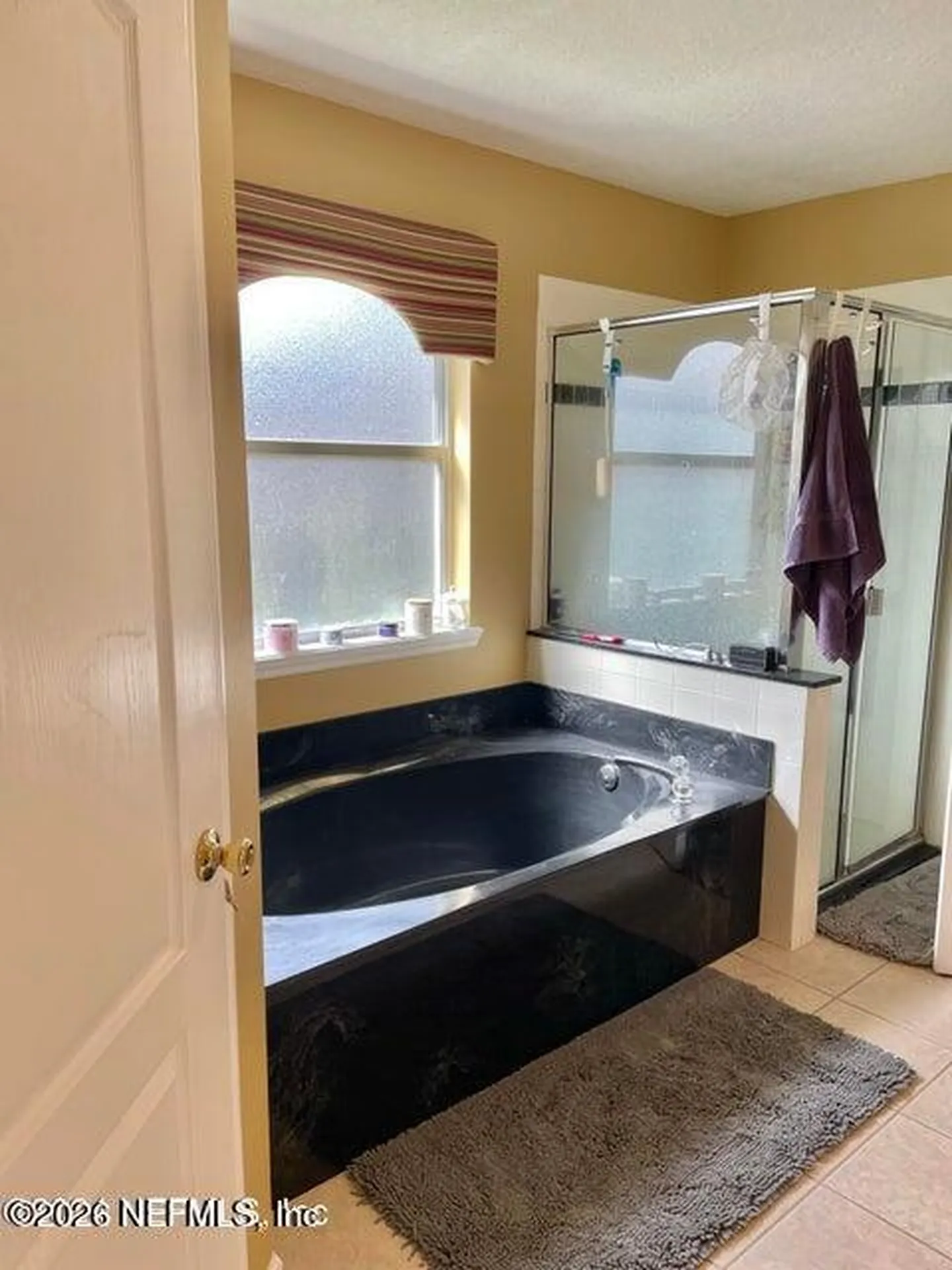 12221 Madison Creek Drive Jacksonville FL 32258