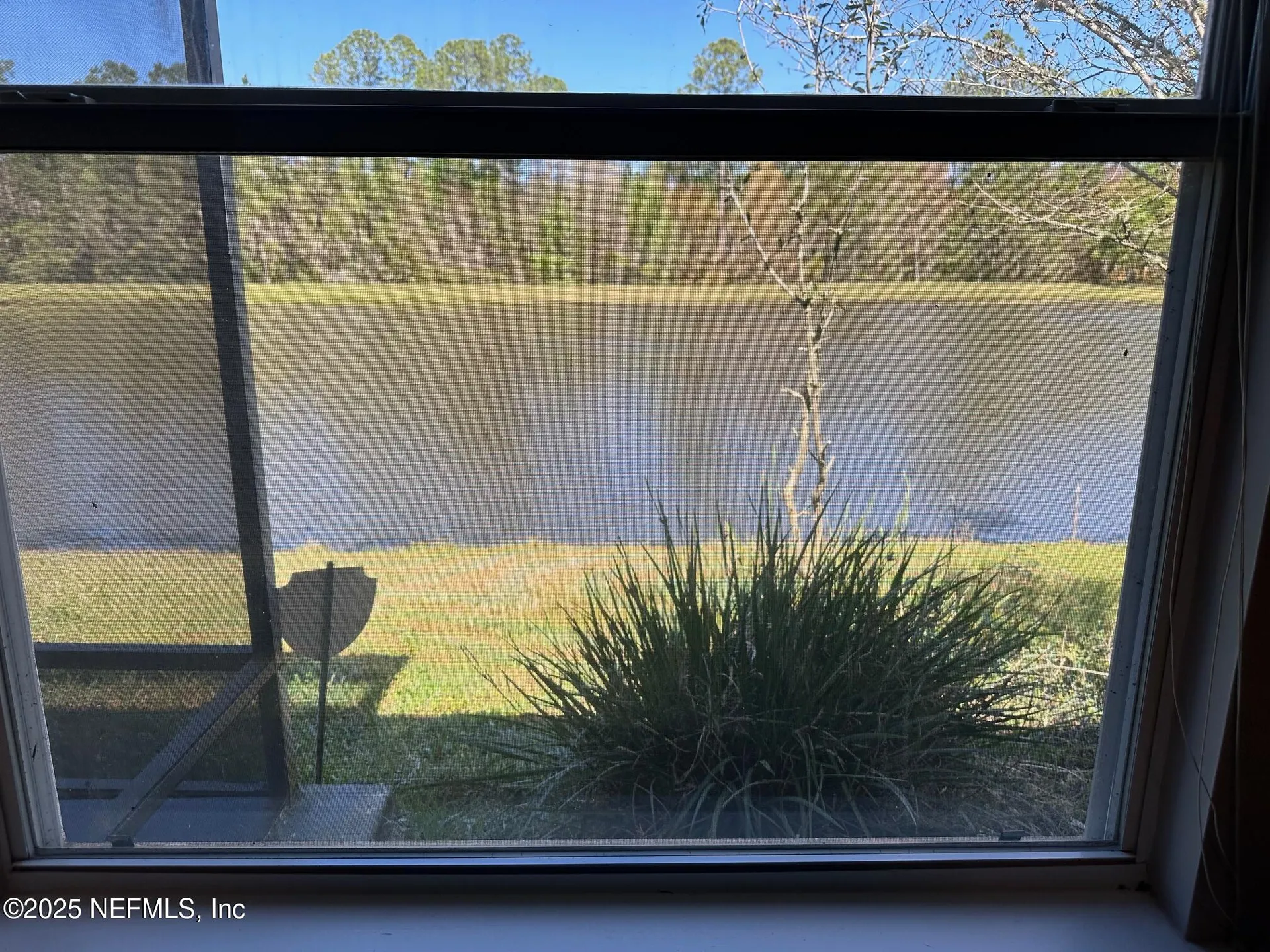 1816 Creekwood Lane Fleming Island FL 32003
