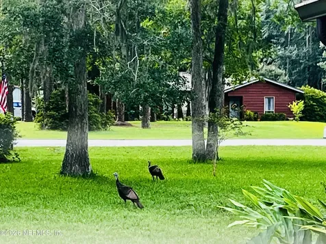 1131 Cactus Cut Road Middleburg FL 32068