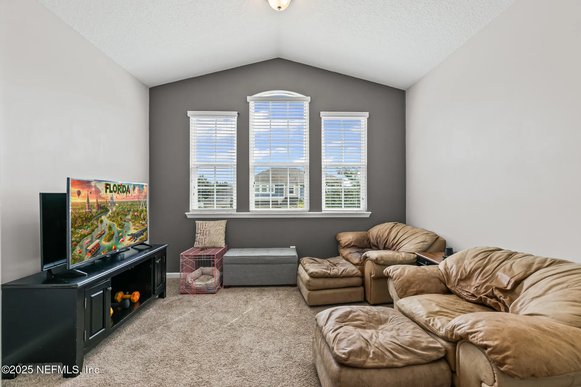 14604 Serenoa Drive Jacksonville FL 32258