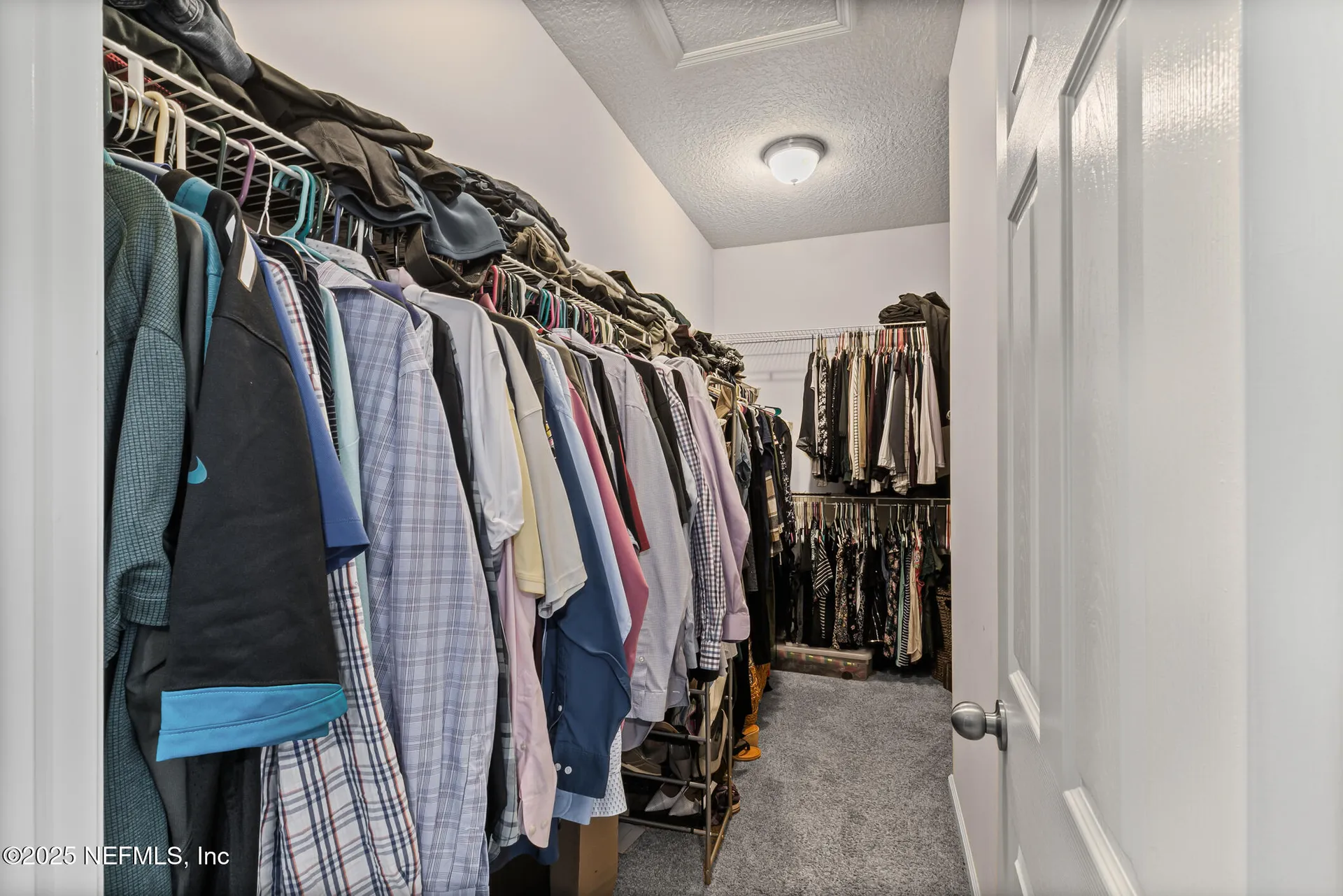 14604 Serenoa Drive Jacksonville FL 32258