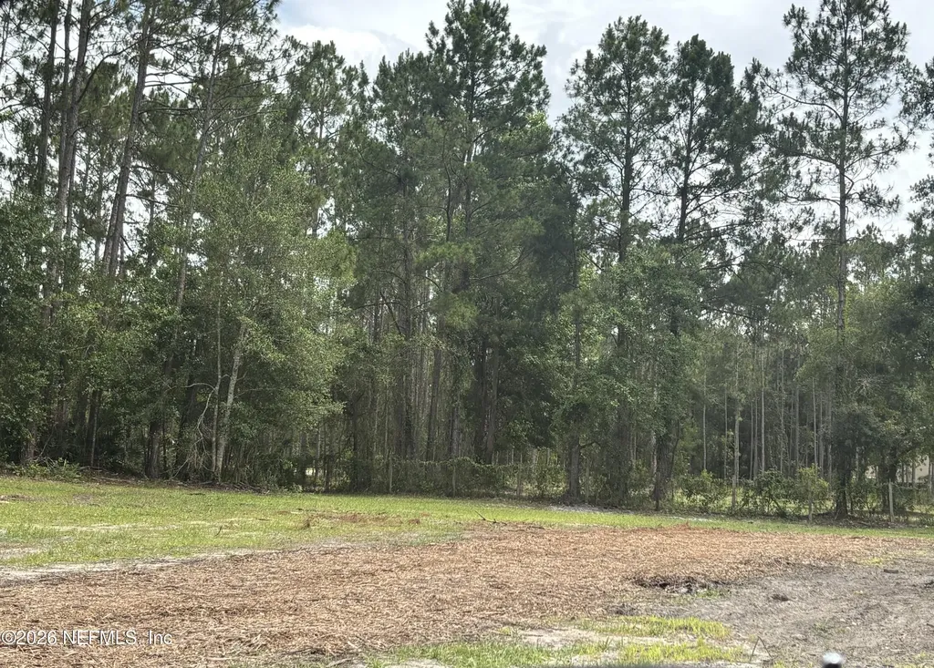 25 Currant Avenue Middleburg FL 32068