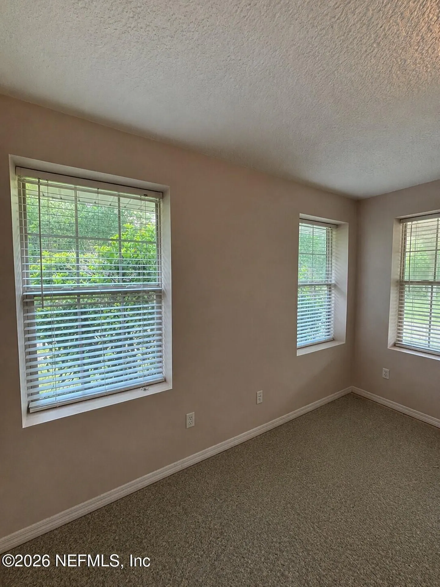 25 Currant Avenue Middleburg FL 32068