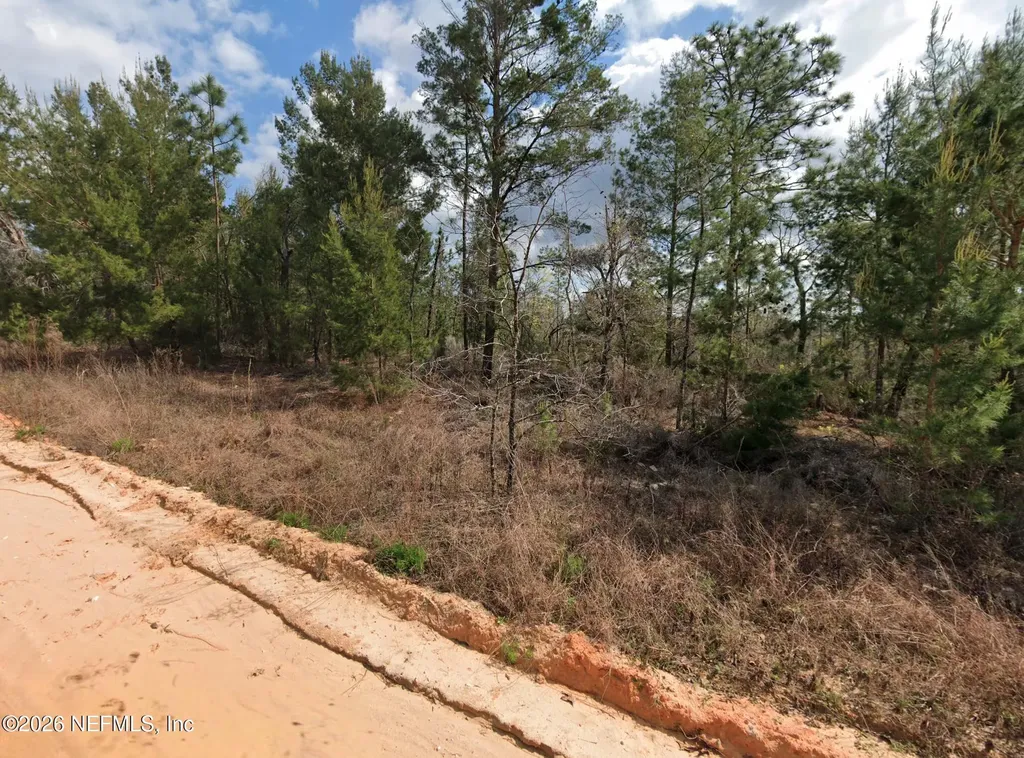 214 Akron Street Interlachen FL 32148