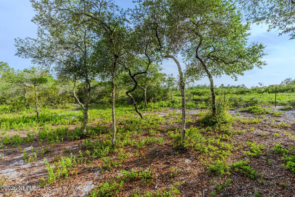 6342 Golden Oak Lane Keystone Heights FL 32656