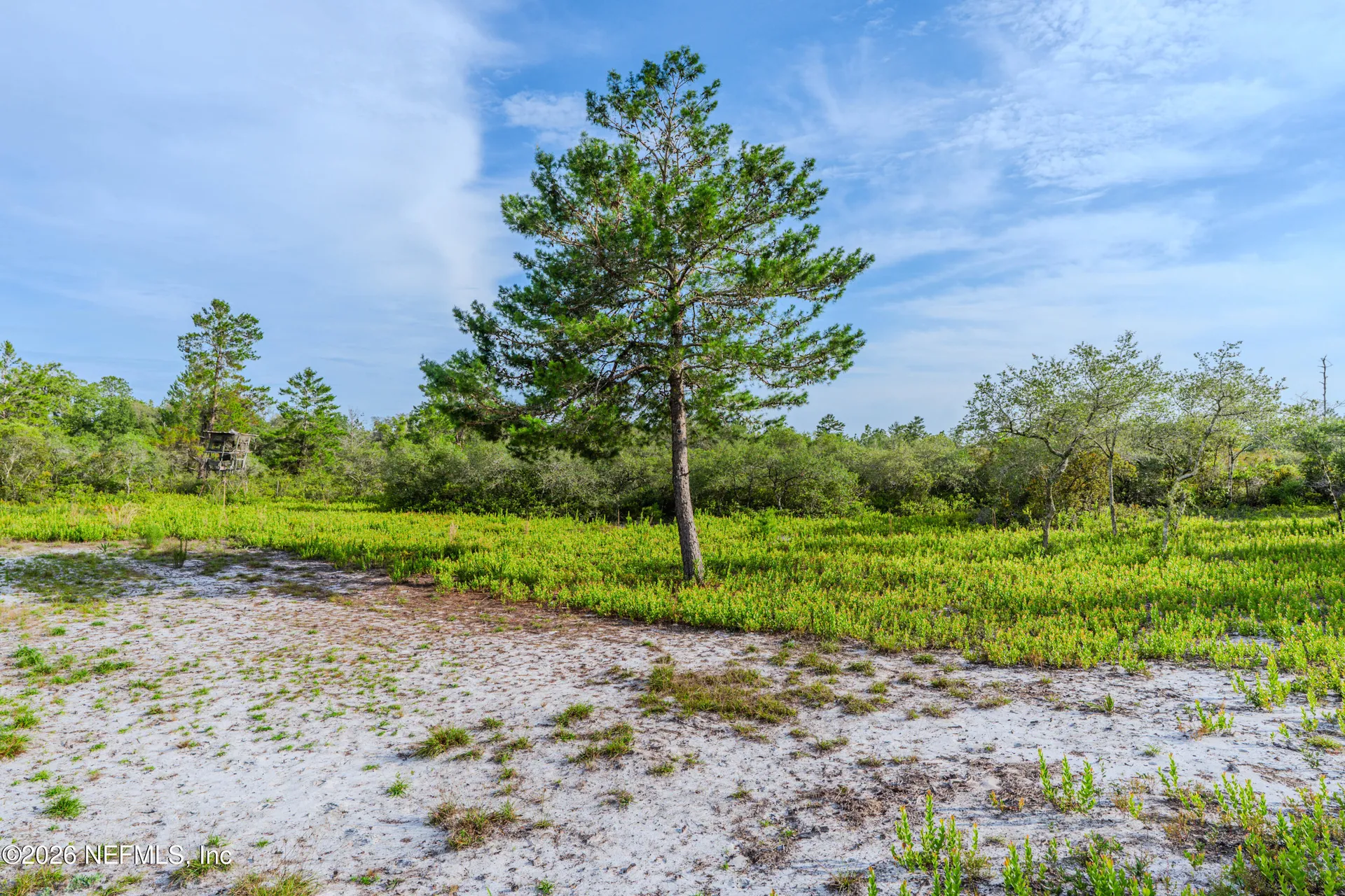 6342 Golden Oak Lane Keystone Heights FL 32656