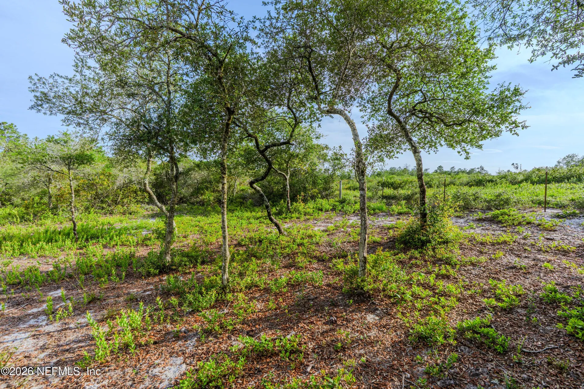 6342 Golden Oak Lane Keystone Heights FL 32656