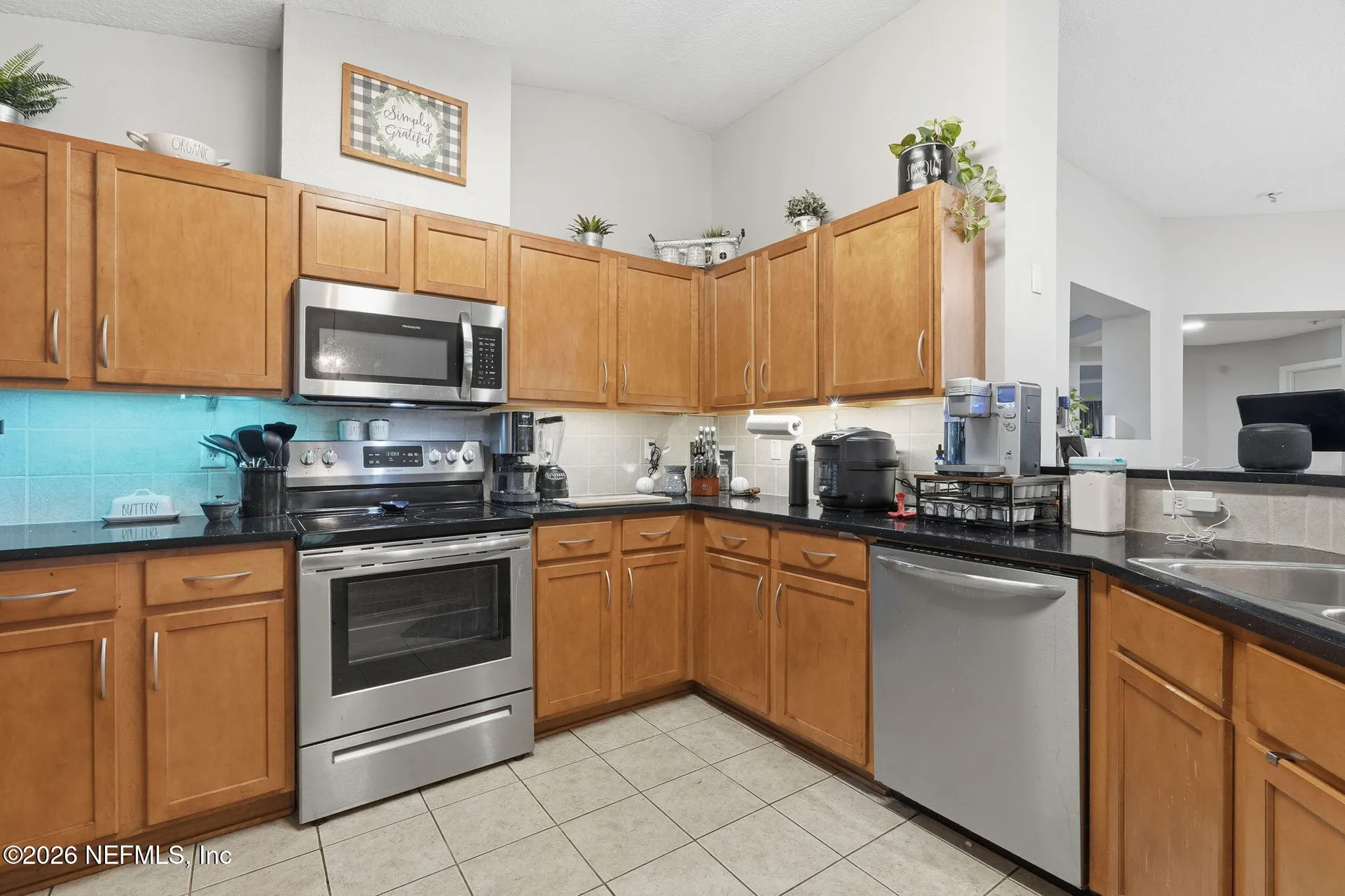 2393 Rusty Lakes Lane Jacksonville FL 32221