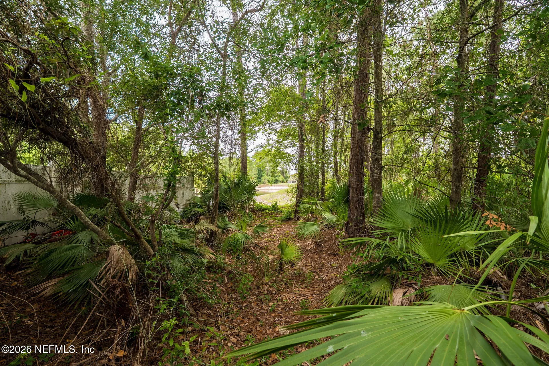 2393 Rusty Lakes Lane Jacksonville FL 32221