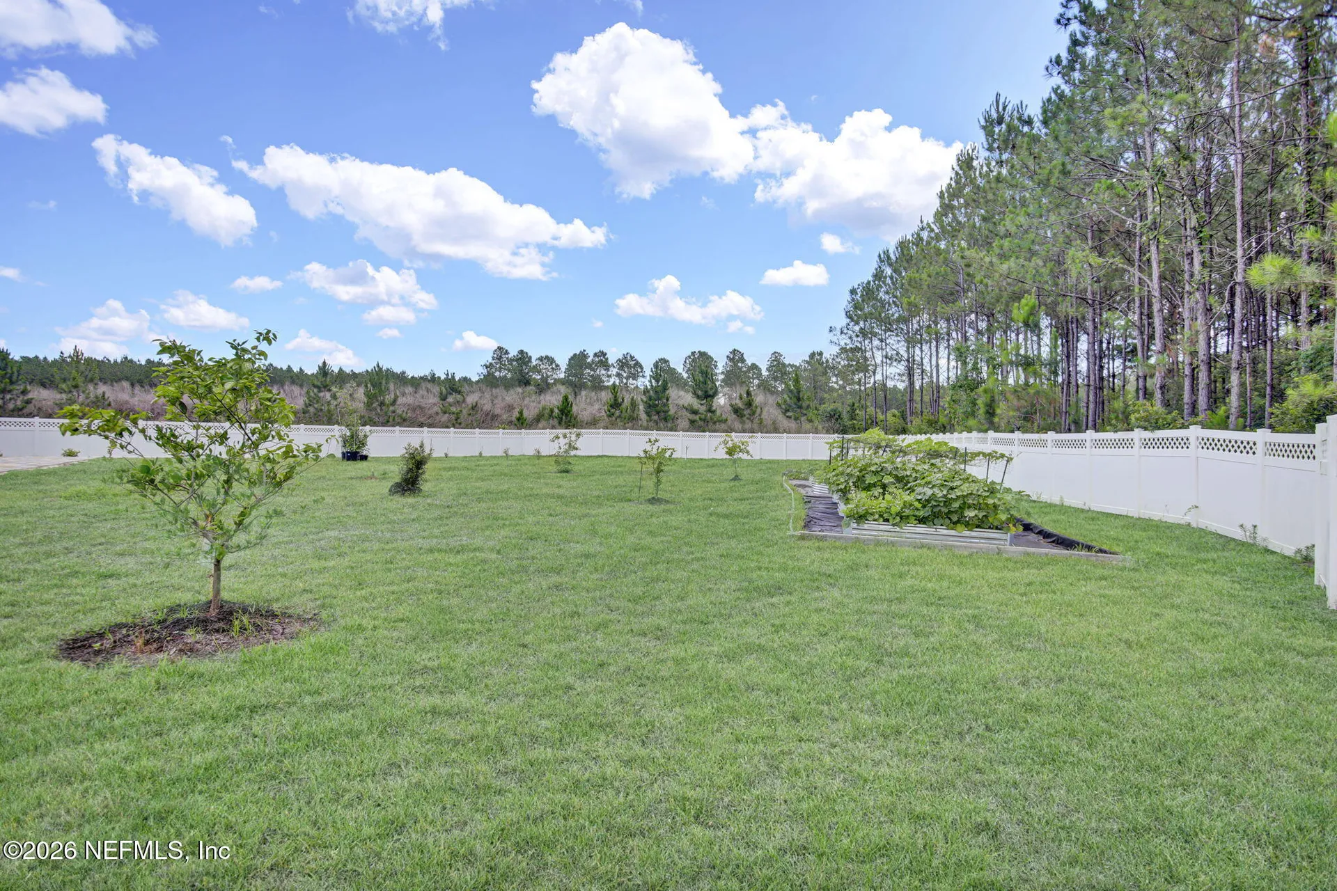 25 Silver Lily Way Jacksonville FL 32092