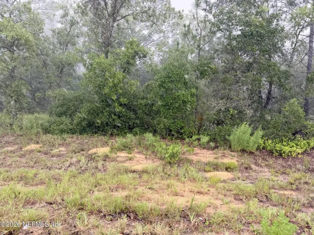 5628 County Road 214 Keystone Heights FL 32656