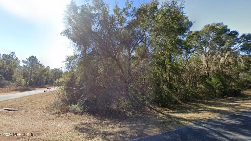 0 SW Jeanlea Place Fort White FL 32038