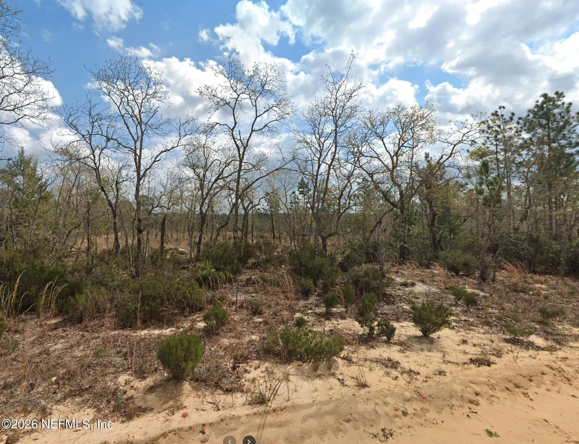 224 Salem Trail Interlachen FL 32148