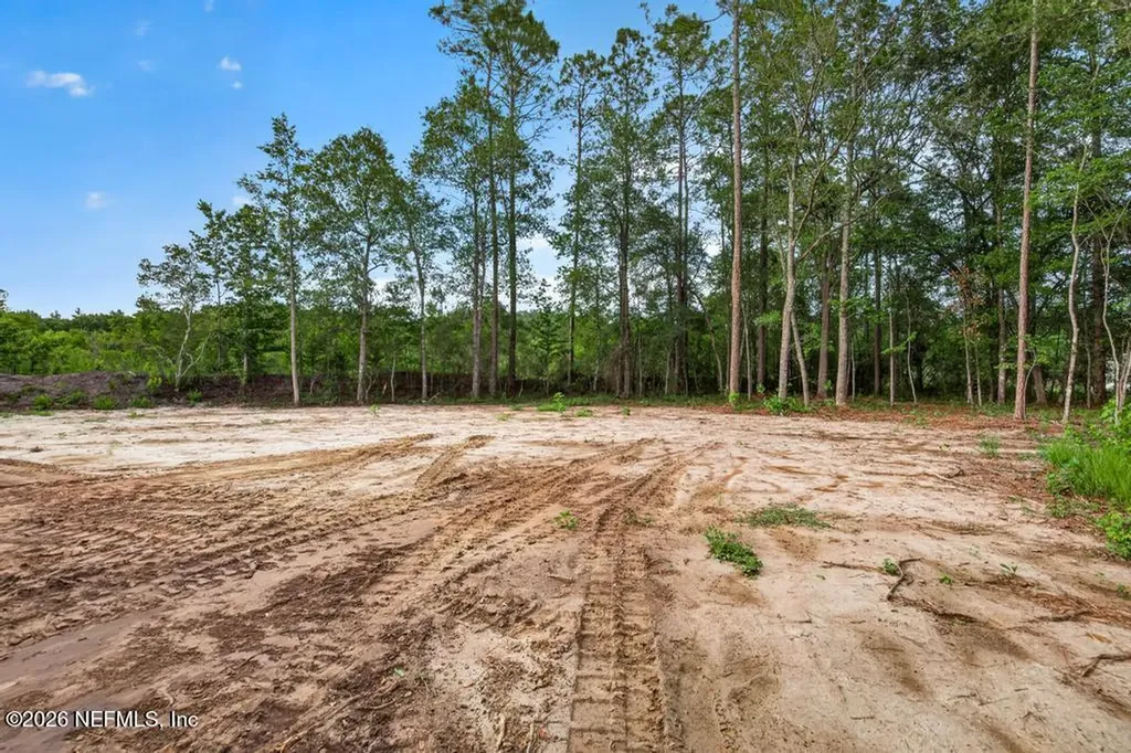2817 Spring Drive Middleburg FL 32068
