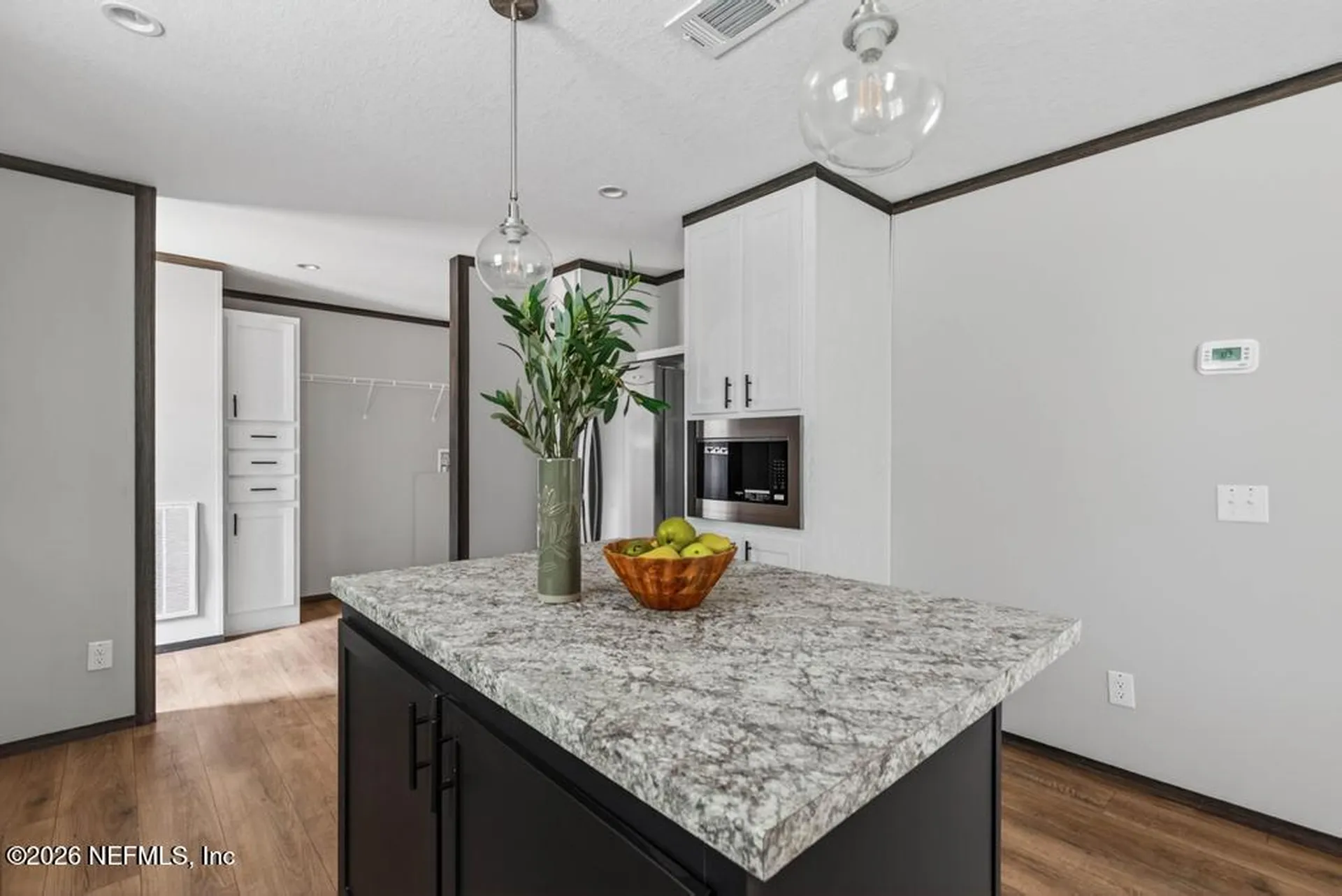 2817 Spring Drive Middleburg FL 32068