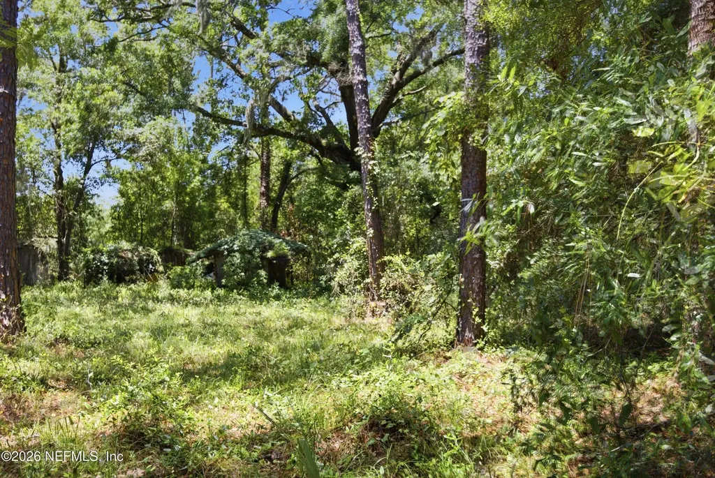 11265 Locke Lane Jacksonville FL 32218