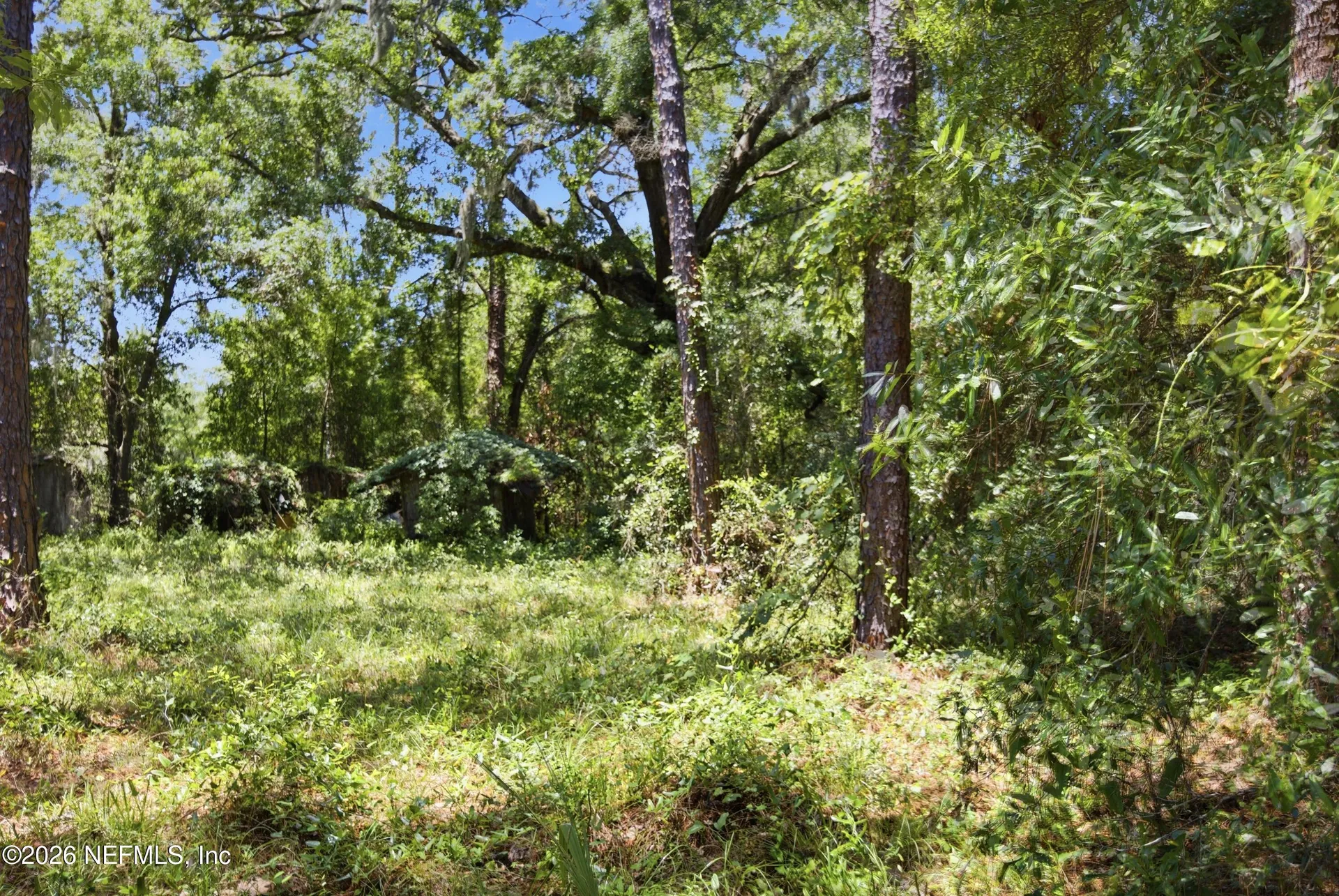 11265 Locke Lane Jacksonville FL 32218