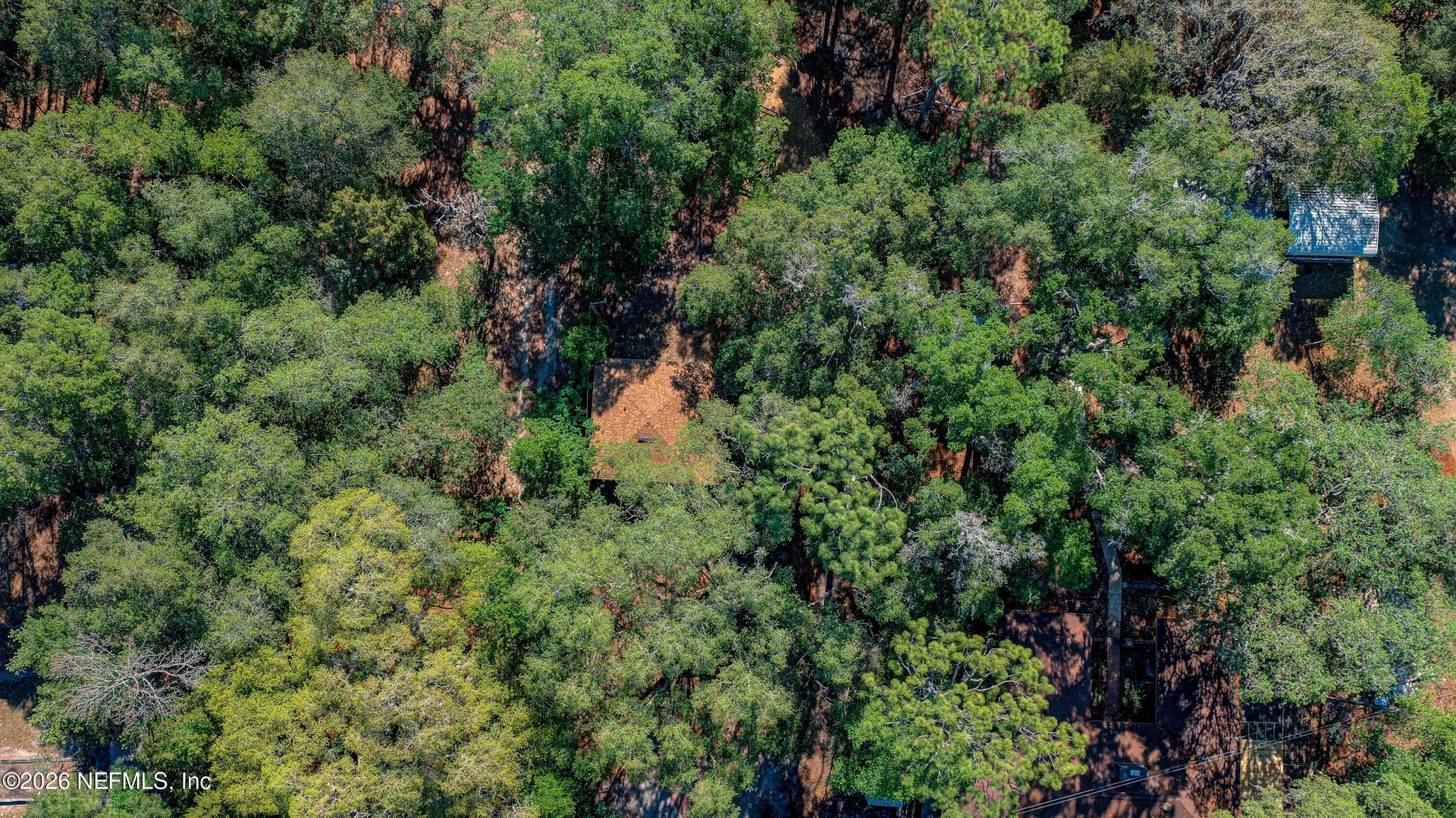 8042 County Line Road Melrose FL 32666
