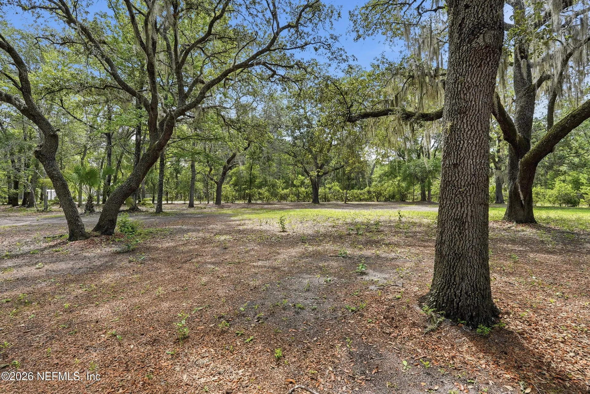 246 Azalea Avenue Interlachen FL 32148