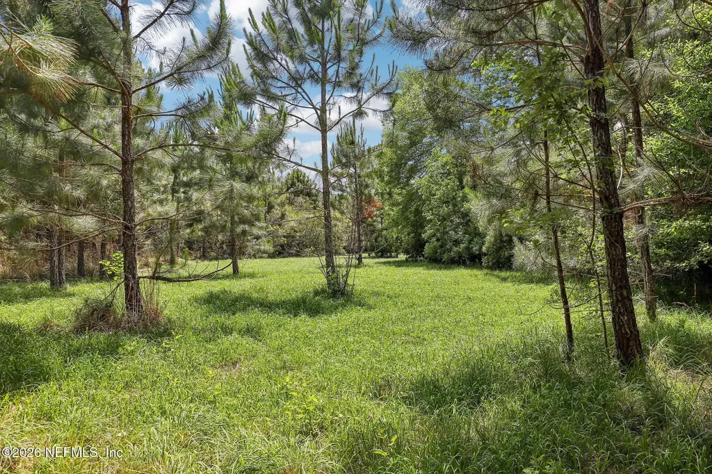 15976 Red Bass Drive Jacksonville FL 32226