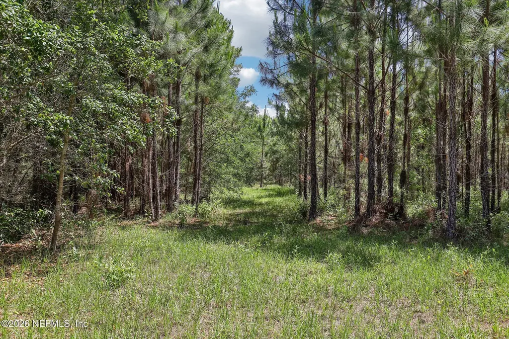 15976 Red Bass Drive Jacksonville FL 32226