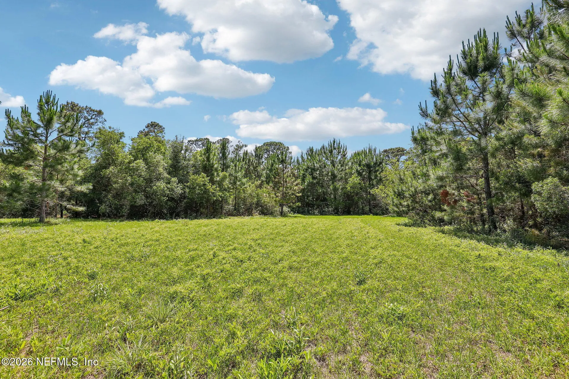15976 Red Bass Drive Jacksonville FL 32226
