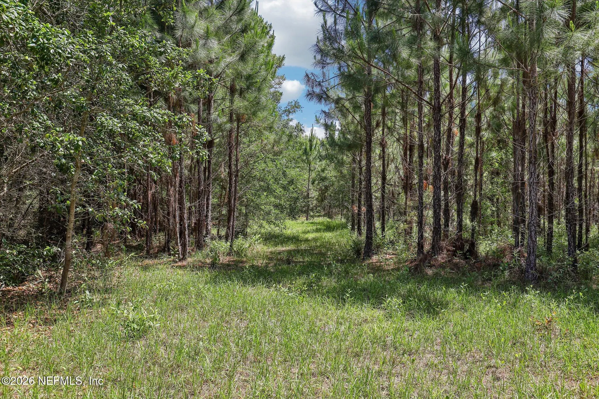 15976 Red Bass Drive Jacksonville FL 32226
