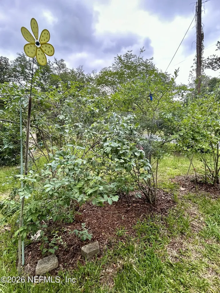 4107 Torino Place Jacksonville FL 32244