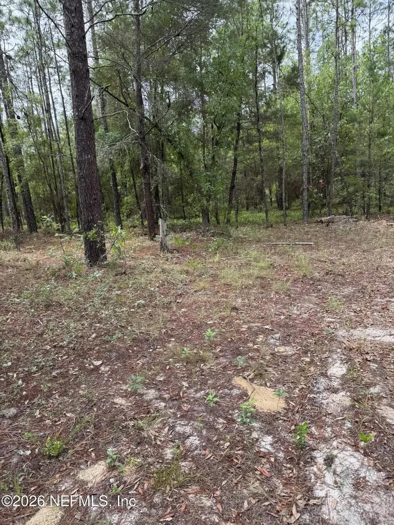 4477 M Lake Road Keystone Heights FL 32656